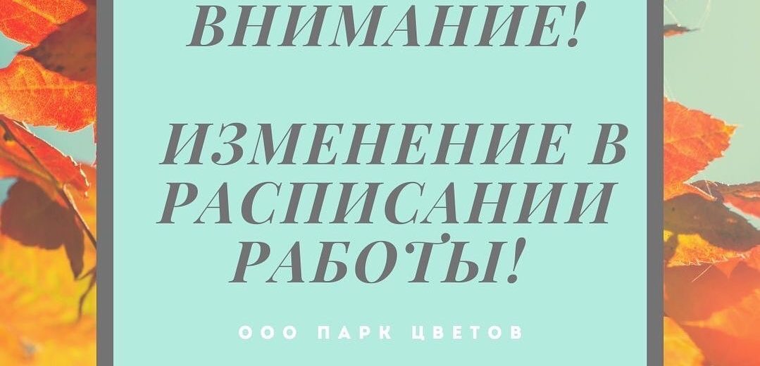 Тюльпаны оптом! Выгодные цены!