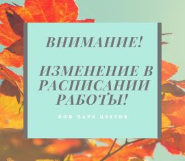 Тюльпаны оптом! Выгодные цены!